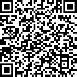 Protection of trademarks and other IP rights in de DNS World