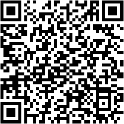 Protection of trademarks and other IP rights in de DNS World