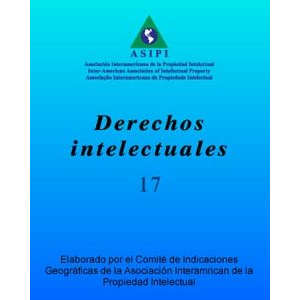 Derechos Intelectuales 17