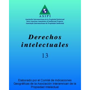 Derechos Intelectuales 13